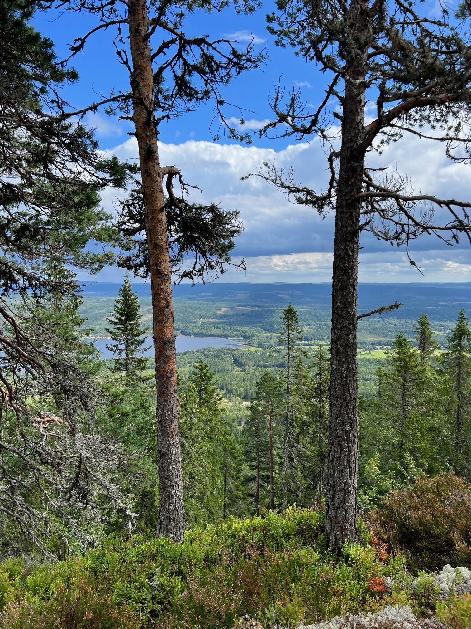 Camping Fristad (Vitsand, Torsby)